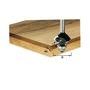 Fraise à araser avec plaquettes de rechange HW avec queue de 8mm HW S8 D30,5/12/45° Festool 491084